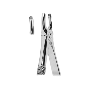 Extracting Forceps