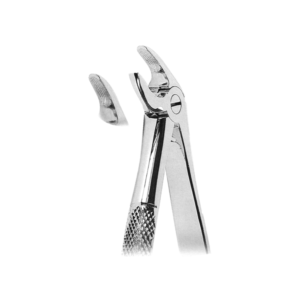 Extracting Forceps