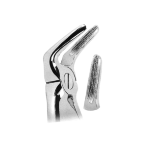 Extracting Forceps