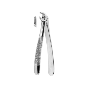 Extracting Forceps