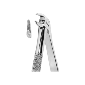Extracting Forceps