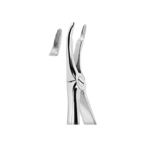 Extracting Forceps