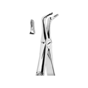 Extracting Forceps