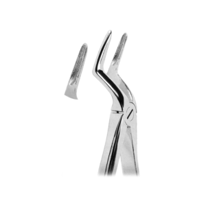 Extracting Forceps
