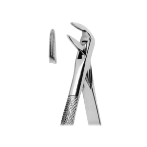 Extracting Forceps