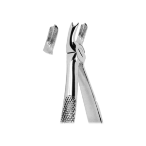 Extracting Forceps