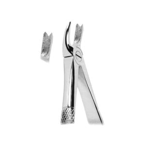 Extracting Forceps