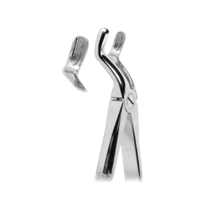 Extracting Forceps