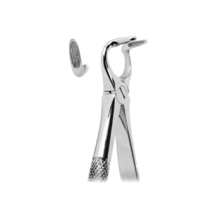 Extracting Forceps