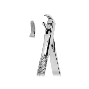 Extracting Forceps