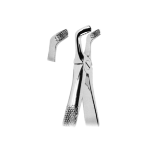 Extracting Forceps