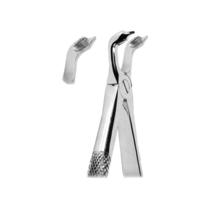 Extracting Forceps