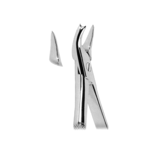 Extracting Forceps