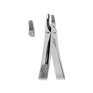 Extracting Forceps