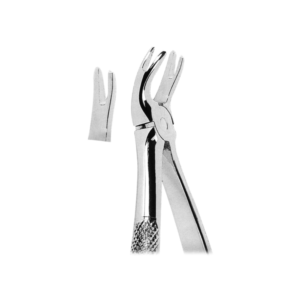 Extracting Forceps