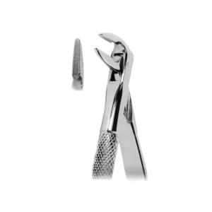 Extracting Forceps