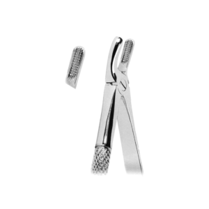 Extracting Forceps