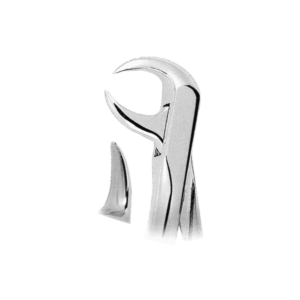 Extracting Forceps