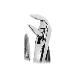 Extracting Forceps