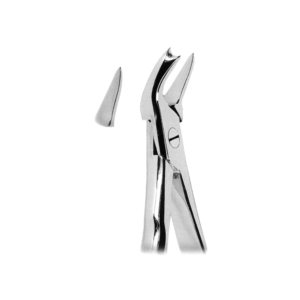 Extracting Forceps