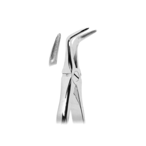Extracting Forceps