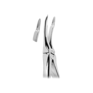 Extracting Forceps