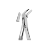 Extracting Forceps