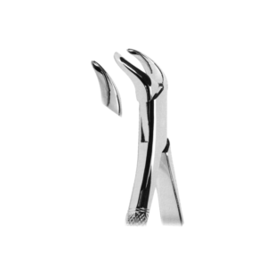 Extracting Forceps