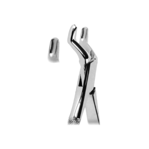 Extracting Forceps