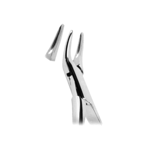 Extracting Forceps