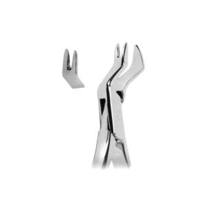 Extracting Forceps