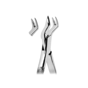 Extracting Forceps
