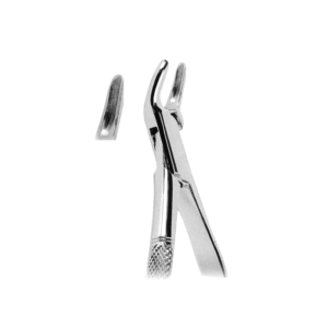 Extracting Forceps