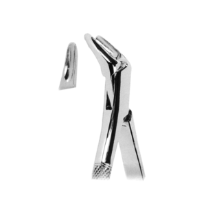Extracting Forceps