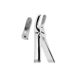 Extracting Forceps