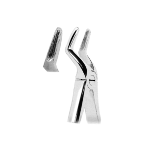 Extracting Forceps